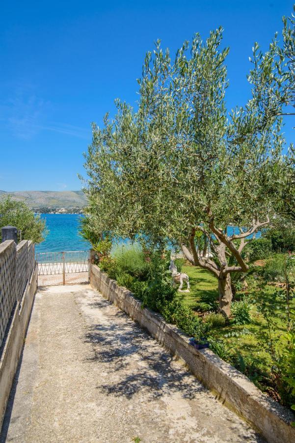 טרוגיר Apartments Tonka מראה חיצוני תמונה